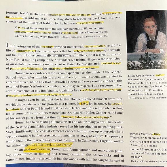 Winslow Homer: His Art, His Light, His Landscapes by Carl Little 1995, Hardcover - Picture 6 of 7